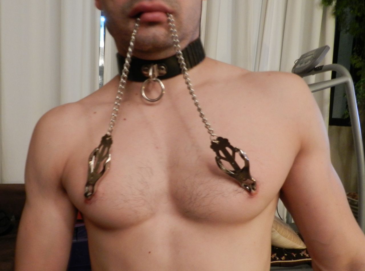 A primeira foto de uma sessão de BDSM, que espero ser de muitas.