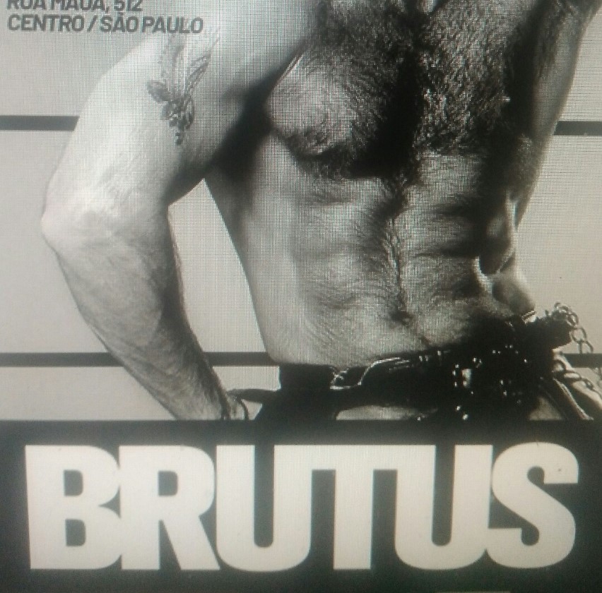 Festa Brutus